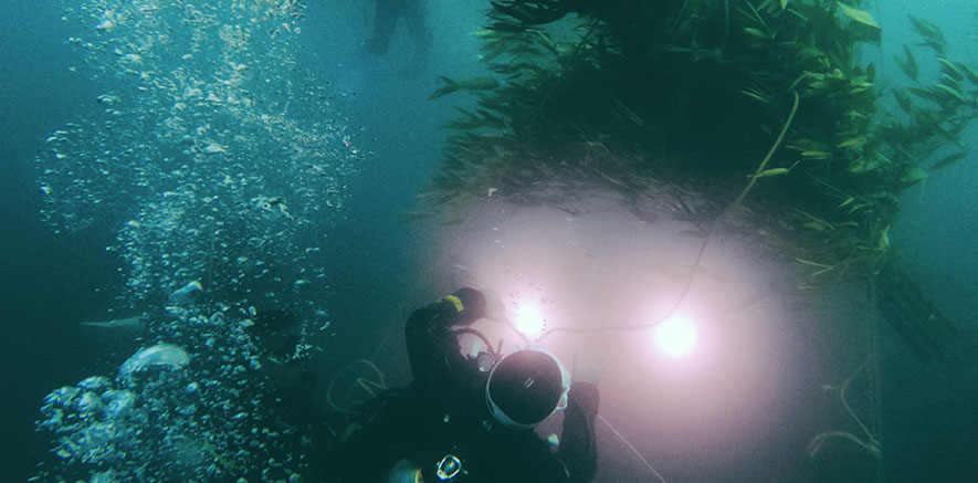 ¿Necesito luz para tomar fotografías submarinas con mi GoPro?